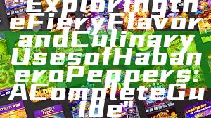 "Exploring the Fiery Flavor and Culinary Uses of Habanero Peppers: A Complete Guide"